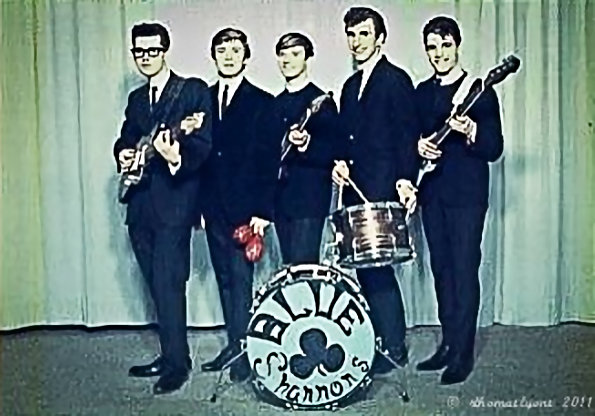 Blue Shannons