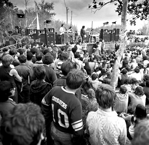 Dianne Heatherington